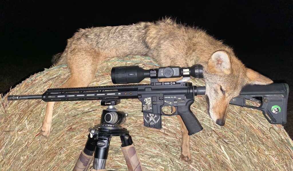 Best Night Vision Rifle Scopes